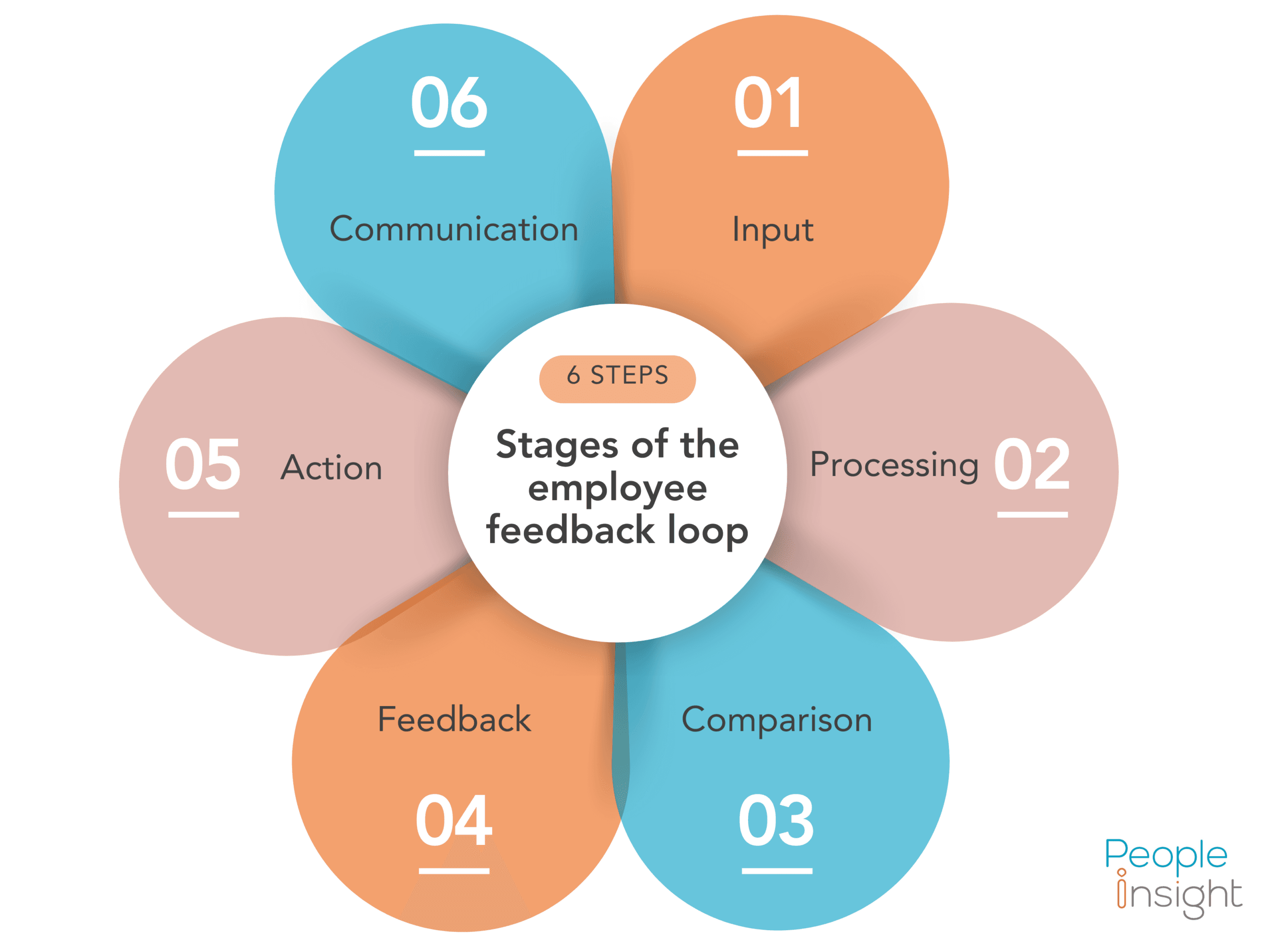 stages of the feedback loop