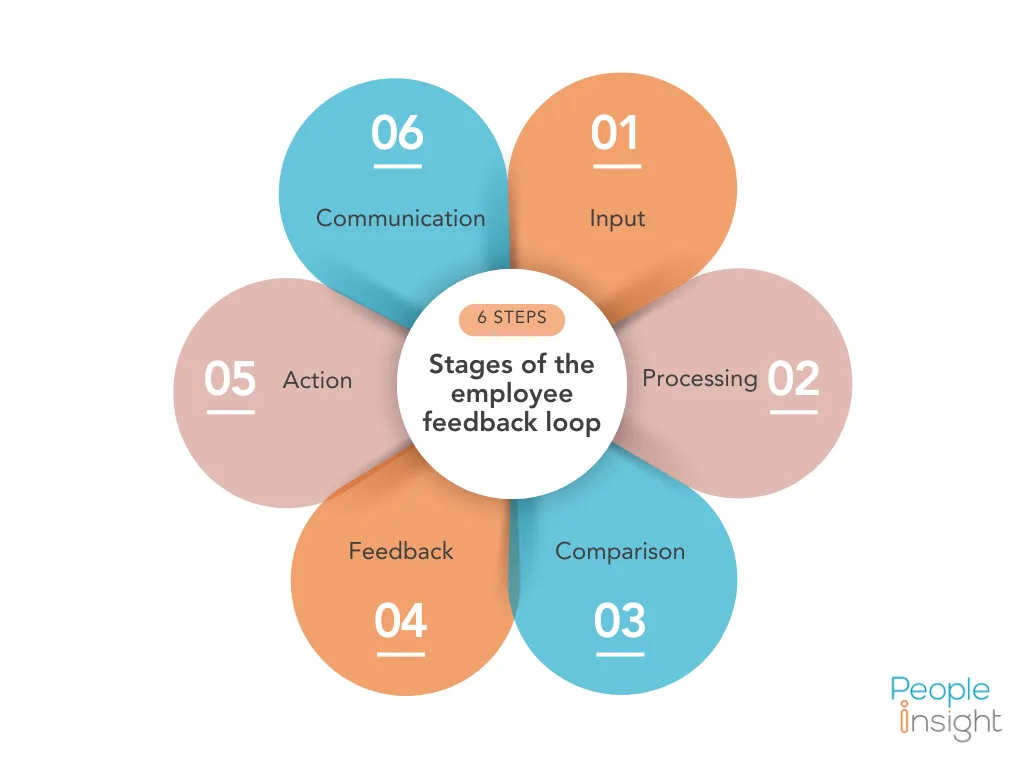 stages of the feedback loop