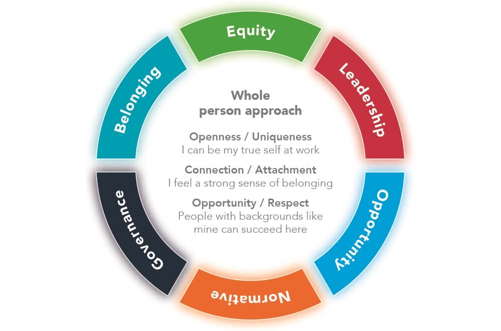 Diversity And Inclusion Framework Diversity And Inclusion Framework