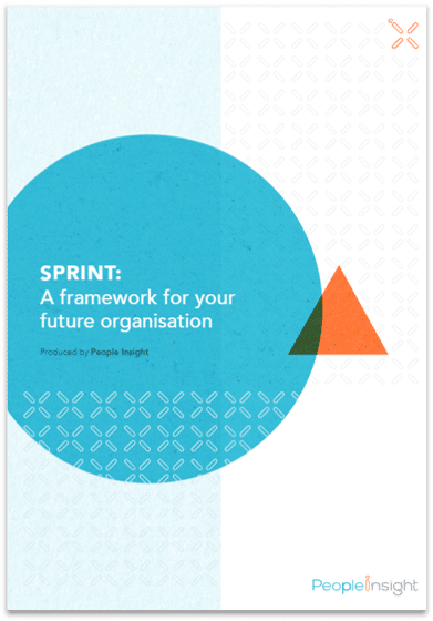 Sprint framework
