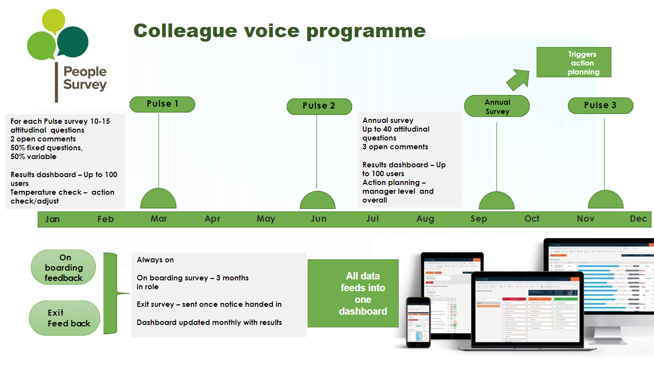 Colleague Voice Programme