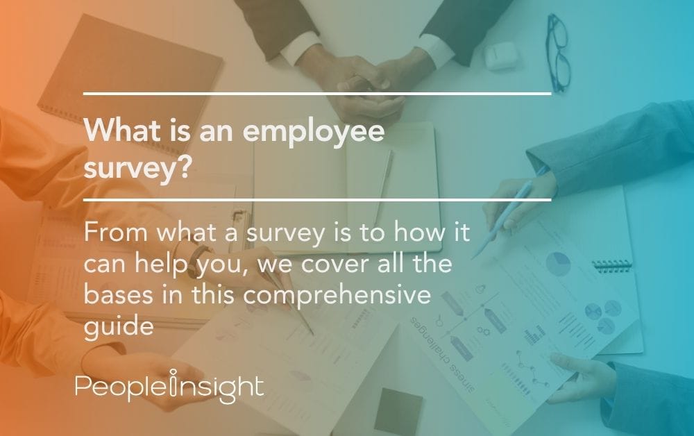 What is an employee survey